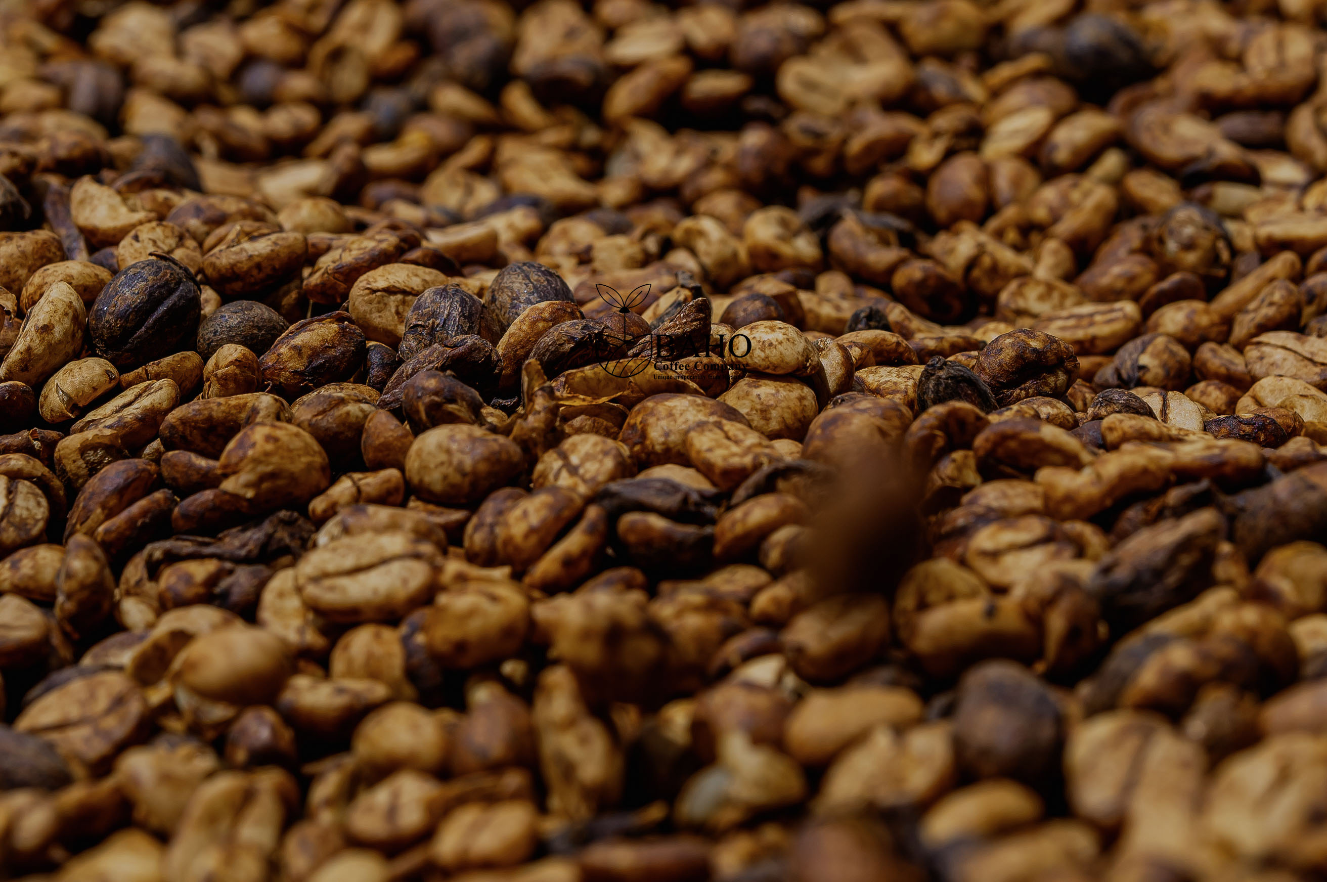 Honey Coffee